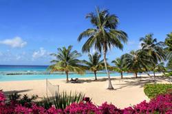 Coconut Court Hotel - Barbados. Beach.